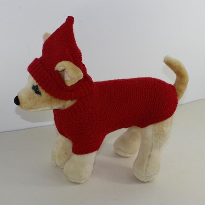 Small Dog 4 Ply Coat,Visor & Pixie Hat