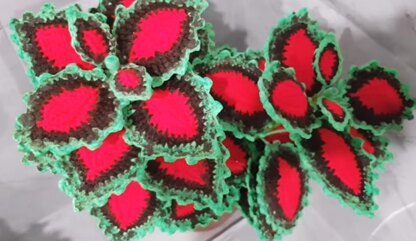 Crochet Coleus plant