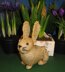 Golden Bunny Rabbit Easter Toy