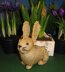 Golden Bunny Rabbit Easter Toy