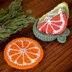 Citrus Fruit Slices Coaster