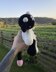 Two-headed Baphomet | Crochet Pattern | Fantasy Amigurumi Monster, Angel Demon Toy