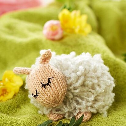 Sleepy Sheep