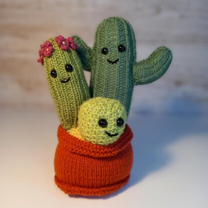 Knitted Cactus Family
