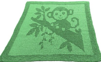 Cute Little Monkey