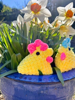 Sally The Spring Chicken