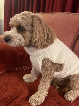Jumper for Peggy