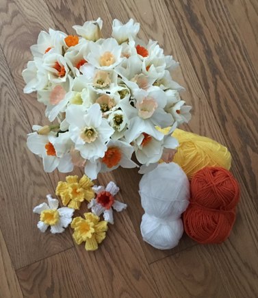 Flower Bomb Daffodills #2