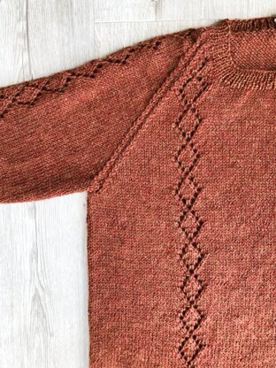 Cinnamon Raglan Sweater