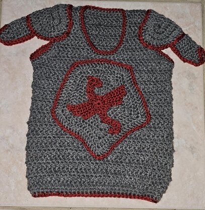 Knight's Armor Vest and  Hood