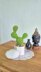 Prickly pear cactus