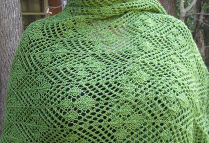 Seki Lace Shawl