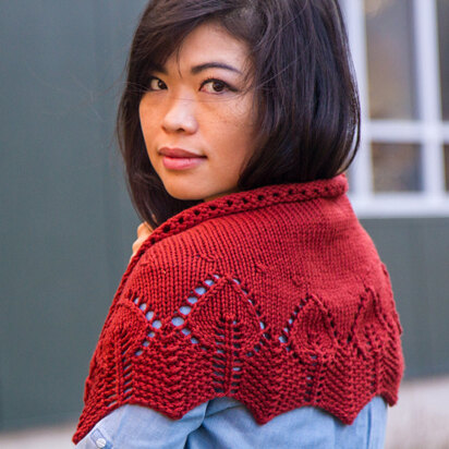 764 Firelight Shawl - Knitting Pattern for Women in Valley Yarns Valley Superwash Bulky