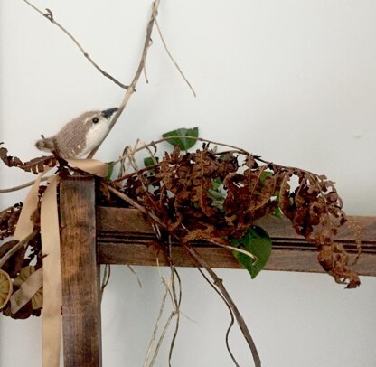 Jenny Wren