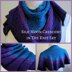 Silk Moon Crescent Shawl