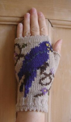 Blue Macaw in the Flowers fingerless mitts