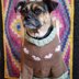 Heartshaker Dog Sweater