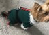 Christmas Elf Dog Costume