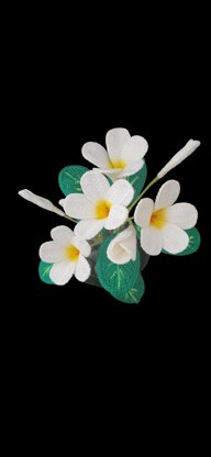 Crochet Plumeria flowers pattern