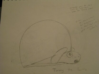 Timmy the Timid Turtle