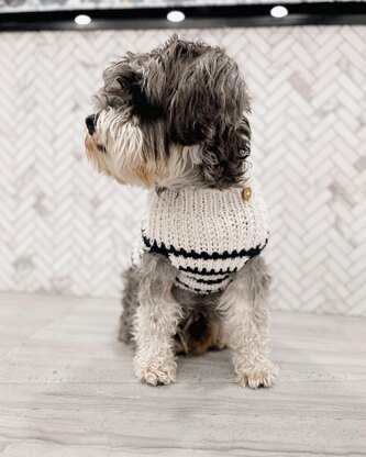 Eddie Striped Dog Sweater