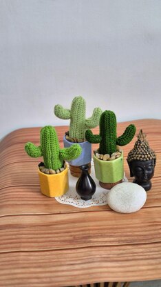 Desert cactus