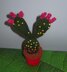 Prickly Pear Cactus Pin Cushion