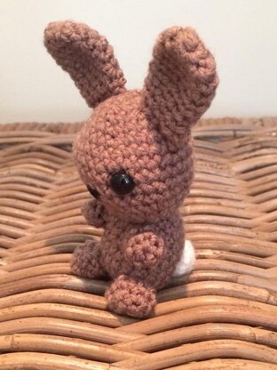 Mr Buns the tiny bunny rabbit