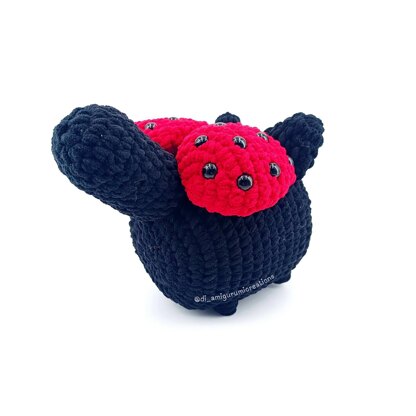 Ladybug Cat