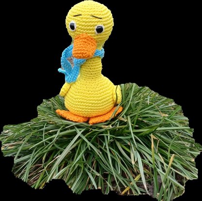 Clotild duck