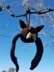 Knitted Bat