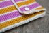 Tunisian Striped Gadget Cosies