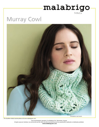 Murray Cowl in Malabrigo Rasta - Downloadable PDF