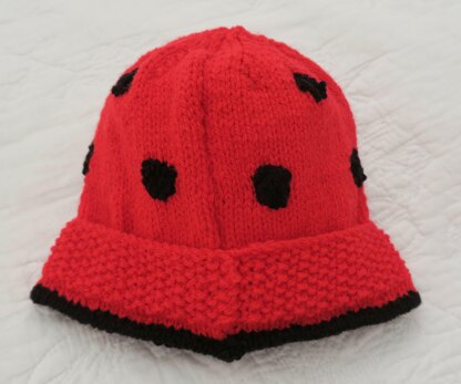 Ladybird Baby Car Seat Blanket + Hat