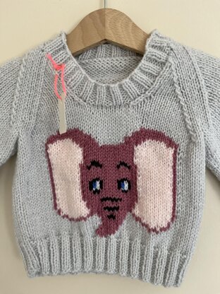 Baby elephant jumper