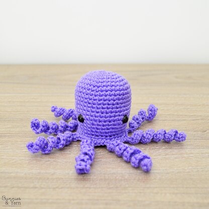 Octopus - Baby #8