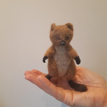 Quokka