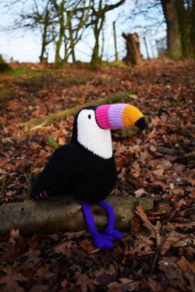 Graham the Toucan