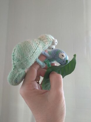 Chameleon knitting pattern