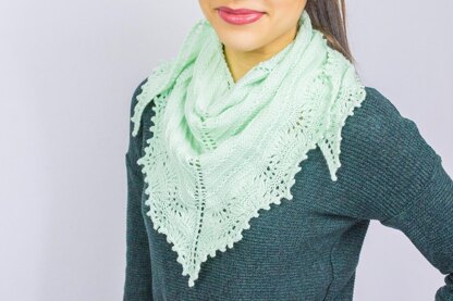 Explorer's Shawl