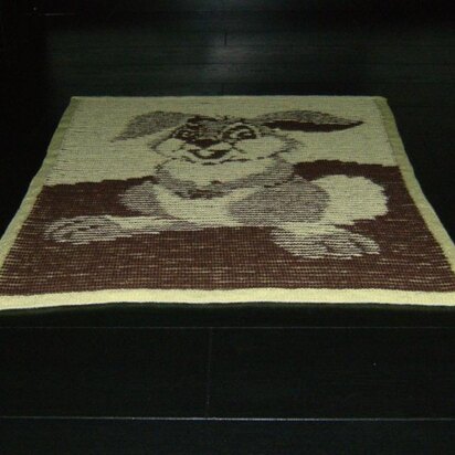 Rabbit Illusion Baby Blanket