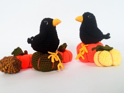 Crow and pumpkins. Fall gossip girls.