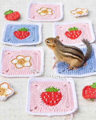 Strawberry Themed Granny Squares