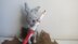 Tiny Bunny