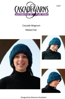 Ribbed Hat in Cascade Magnum - C197