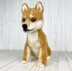 Shiba Inu Dog