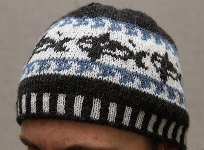 Orca beanie