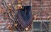 Eventide Cowl