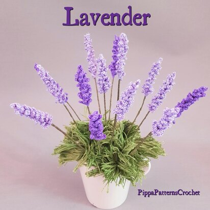 Lavender