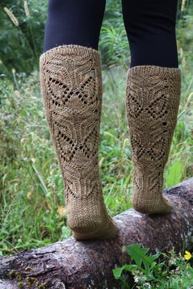 Autumn Field Socks